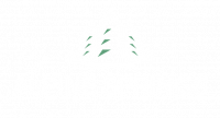 Alpine Springs Rehabilitation and Recovery