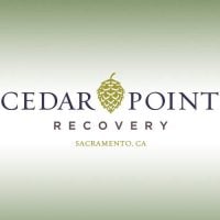 Cedar Point Recovery