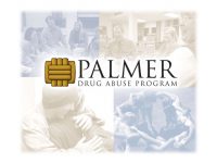 Palmer Drug Abuse Program - Rise Recovery