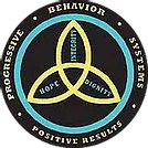 Progressive Behavior Systems
