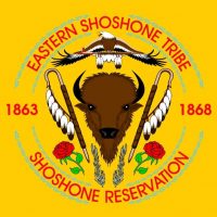 Shoshone and Arapaho Tribal Substance Abuse Court