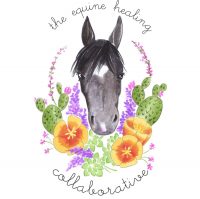 The Equine Healing Collaborative