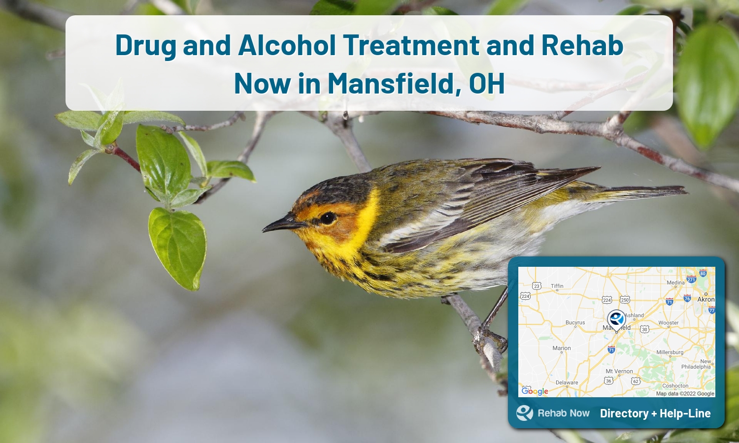 Ready to pick a rehab center in Mansfield? Get off alcohol, opiates, and other drugs, by selecting top drug rehab centers in Ohio